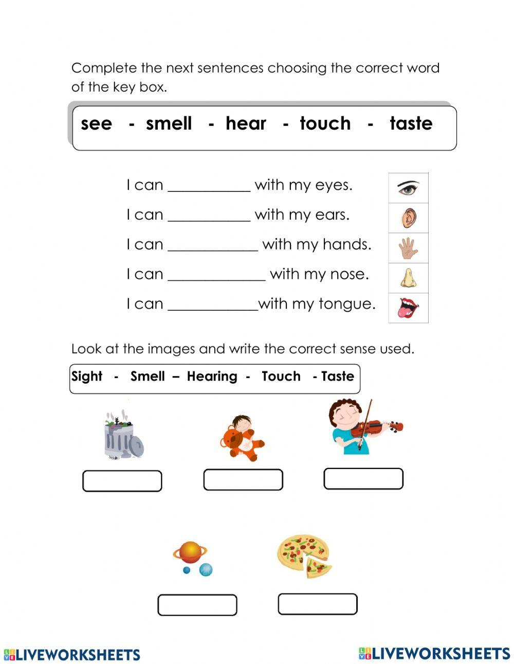 Science Grade 2 Week 20 Worksheet | Live Worksheets - Worksheets | Free Printable Second Grade Science Worksheets