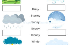 Seasons Type 3 Worksheets For Preschool And Kindergarten 2 To 6 | Seasons Printable Worksheets