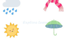 Seasons Worksheets For Preschool And Kindergarten 2 To 6 Years Kids | Free Printable Seasons Worksheets For Kindergarten