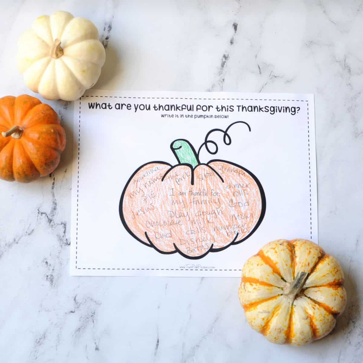 Thankful Pumpkin Printable {Free Instant Download!} | Thanksgiving Pumpkin Worksheet