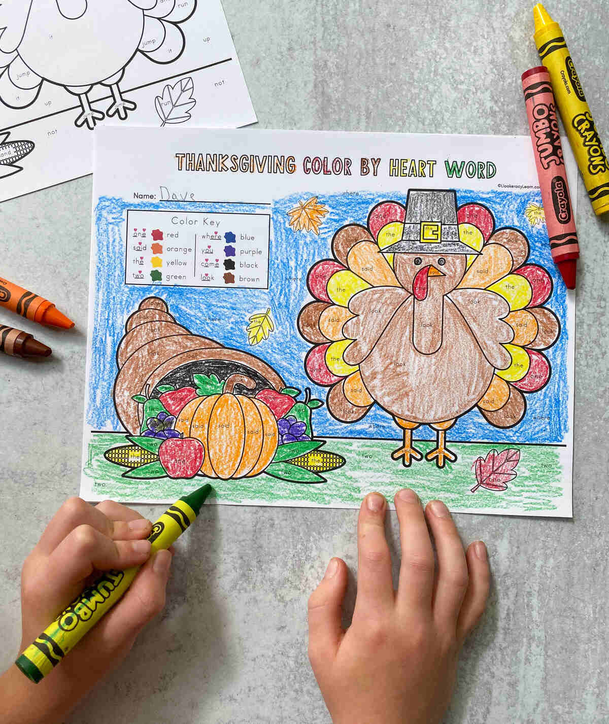 Thanksgiving Colorsight Word Printables - Literacy Learn | Thanksgiving Sight Word Worksheets
