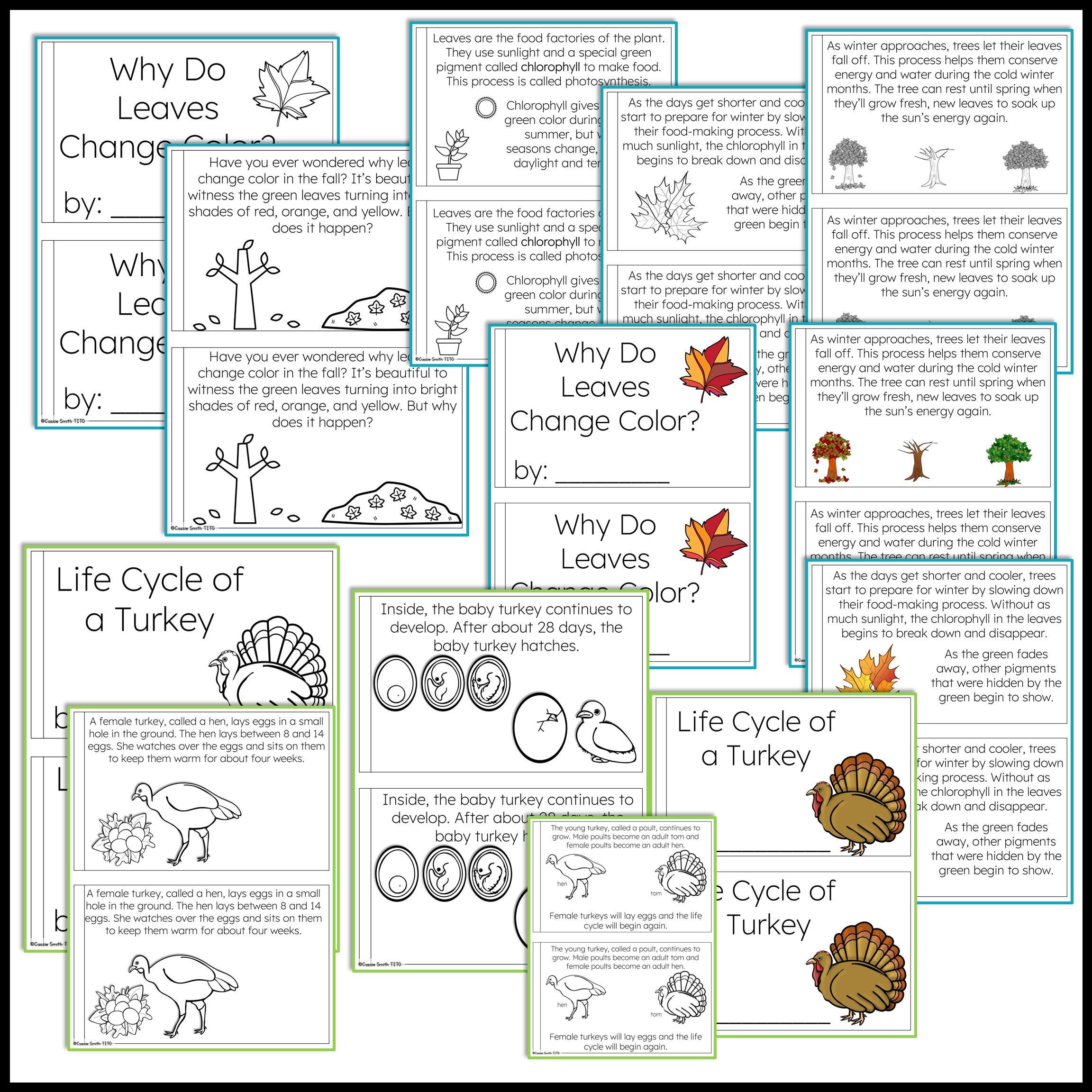 Thanksgiving Science Worksheets No Prep Acitivities - Thrifty In | Thanksgiving Science Worksheet