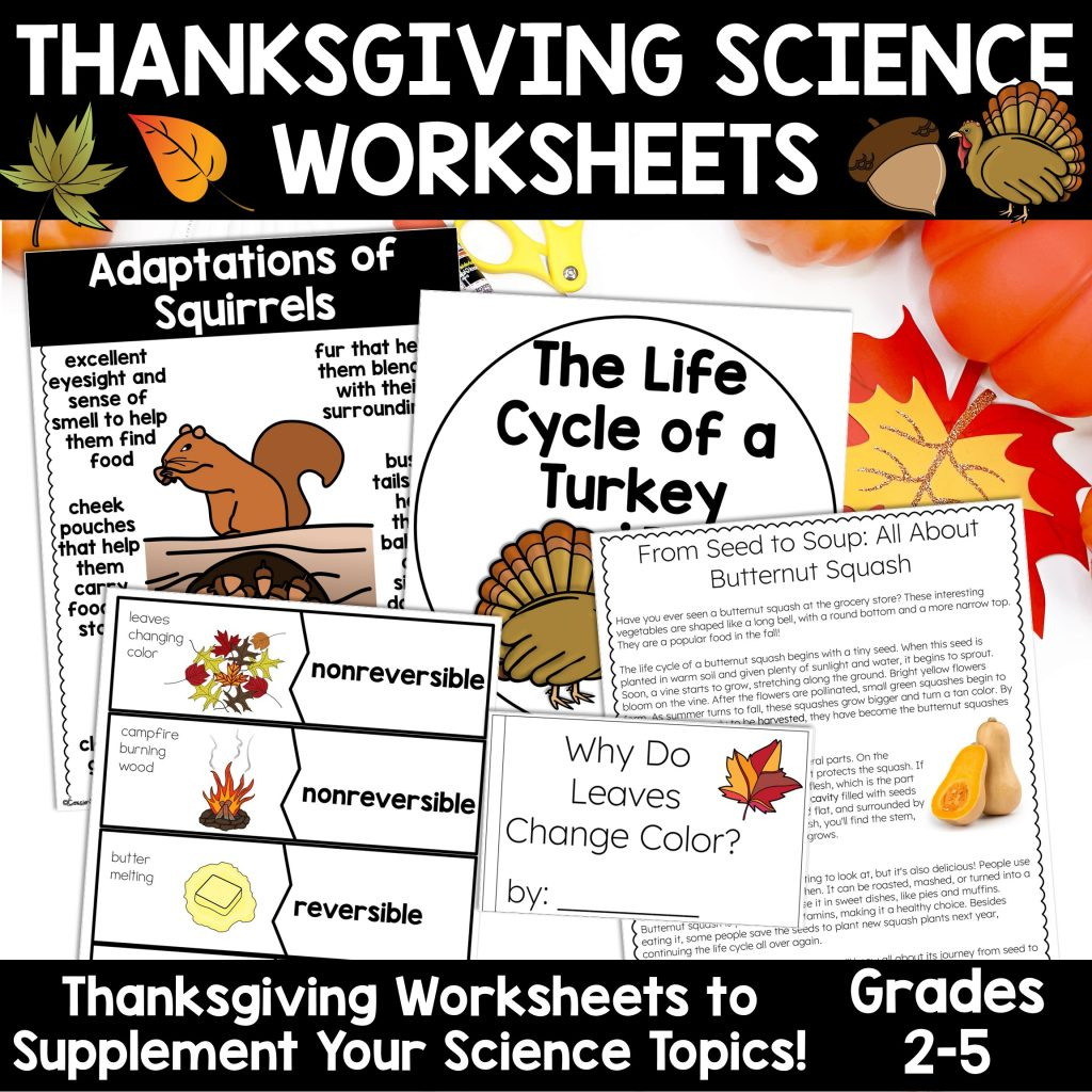 Thanksgiving Science Worksheets No Prep Acitivities - Thrifty In | Thanksgiving Science Worksheets