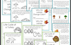 Thanksgiving Science Worksheets