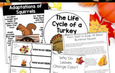 Thanksgiving Science Worksheets No Prep Acitivities - Thrifty In | The Science of Thanksgiving Worksheet