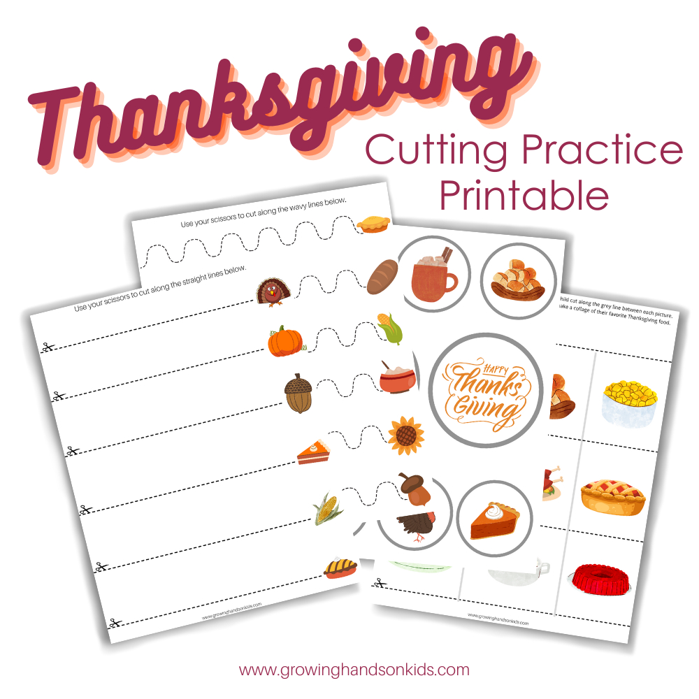 Thanksgiving Themed Cutting Practice Pages For Scissor Skills | Thanksgiving Cutting Worksheets