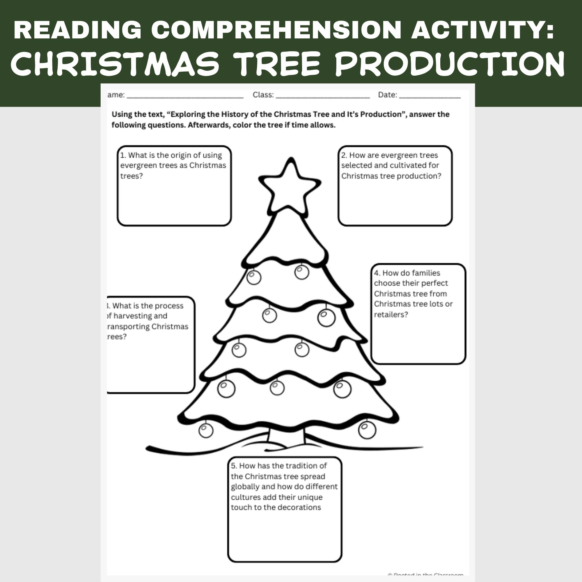 Christmas Tree Reading Comprehension Activity | Agriculture In The | History Of The Christmas Tree Worksheets